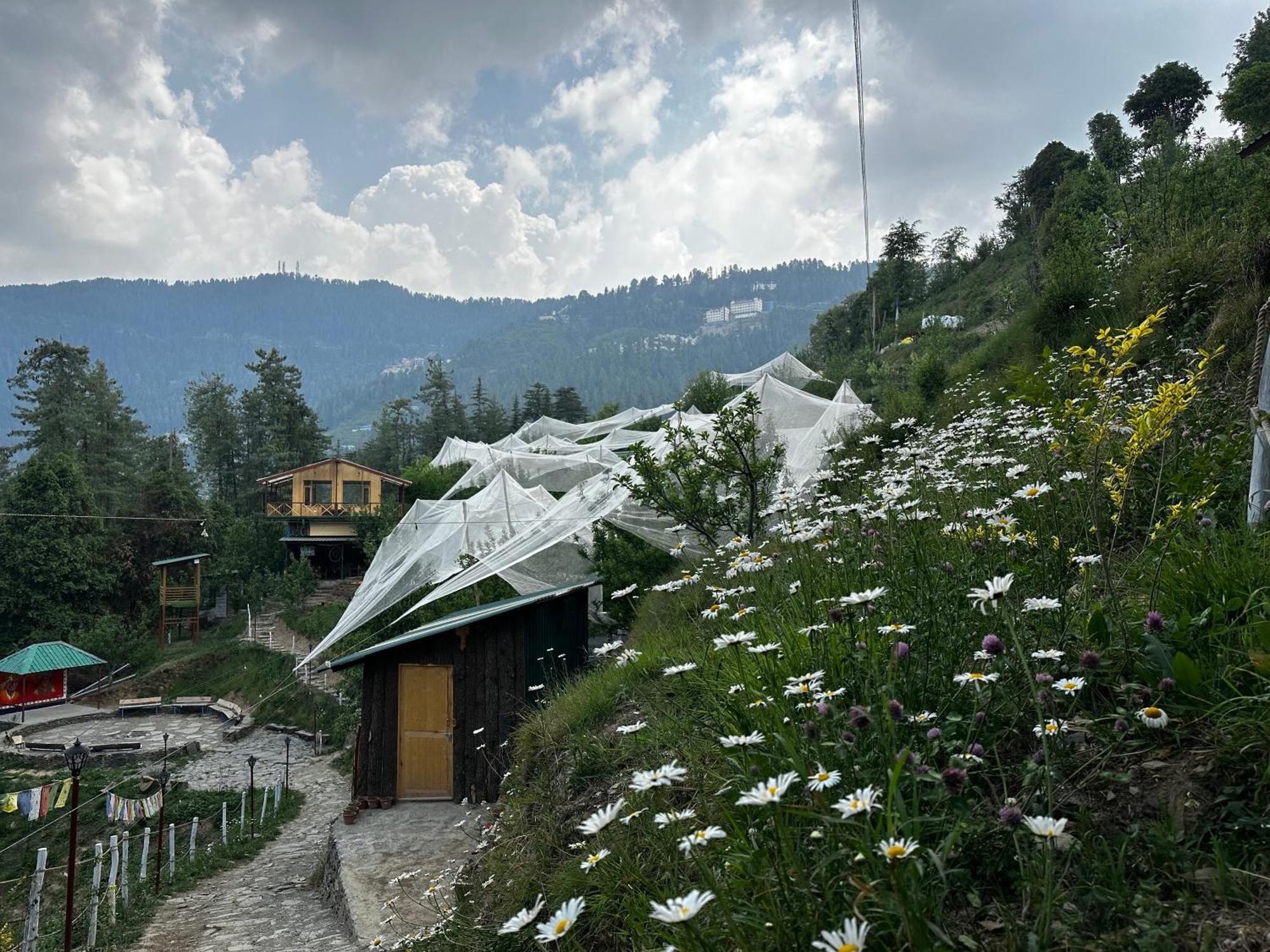 库夫里 Daak Bangla Retreat酒店 外观 照片