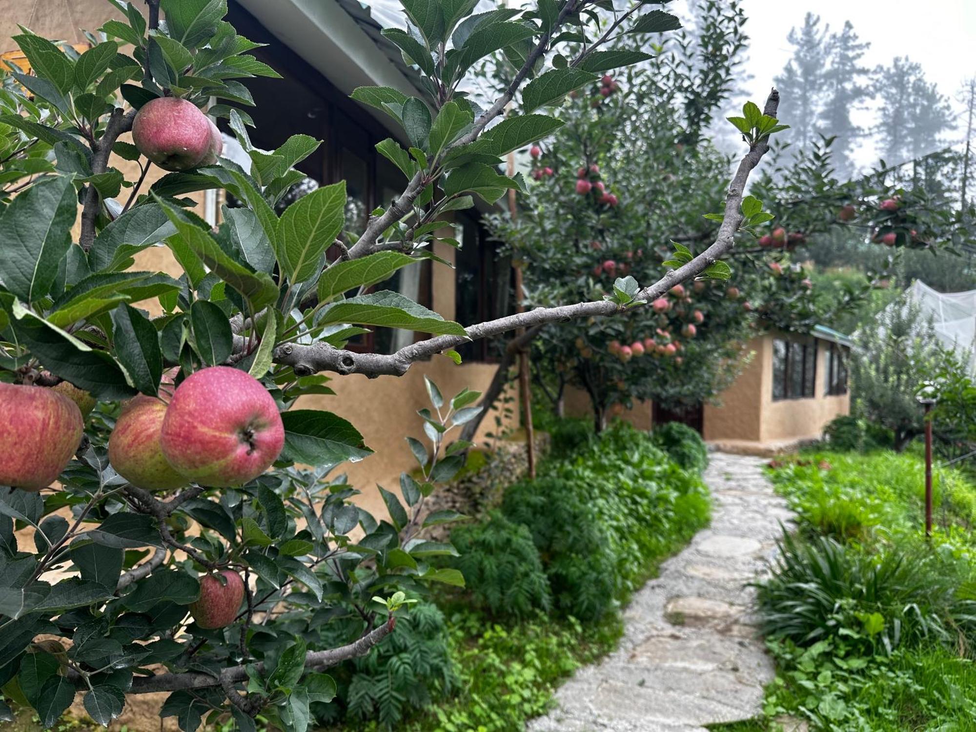 库夫里 Daak Bangla Retreat酒店 外观 照片
