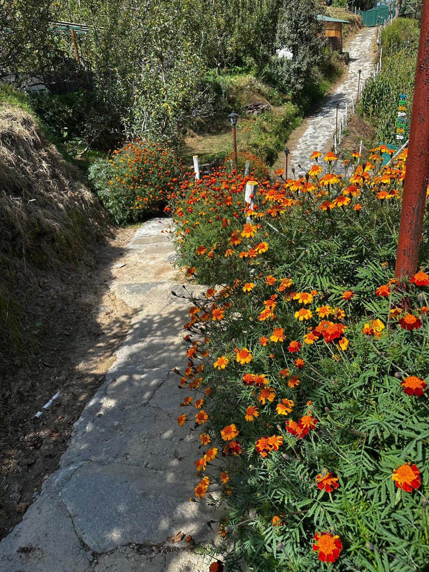 库夫里 Daak Bangla Retreat酒店 外观 照片