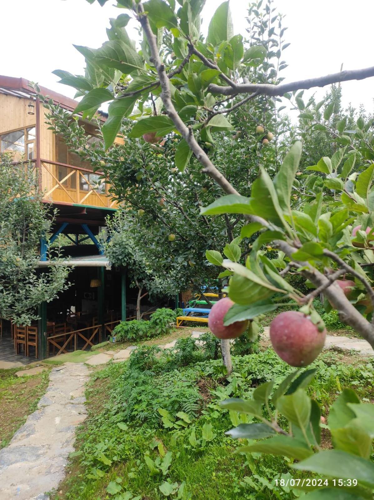库夫里 Daak Bangla Retreat酒店 外观 照片
