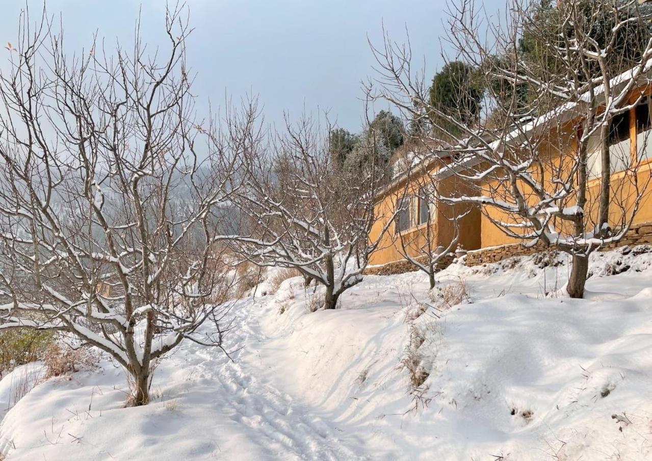 库夫里 Daak Bangla Retreat酒店 外观 照片