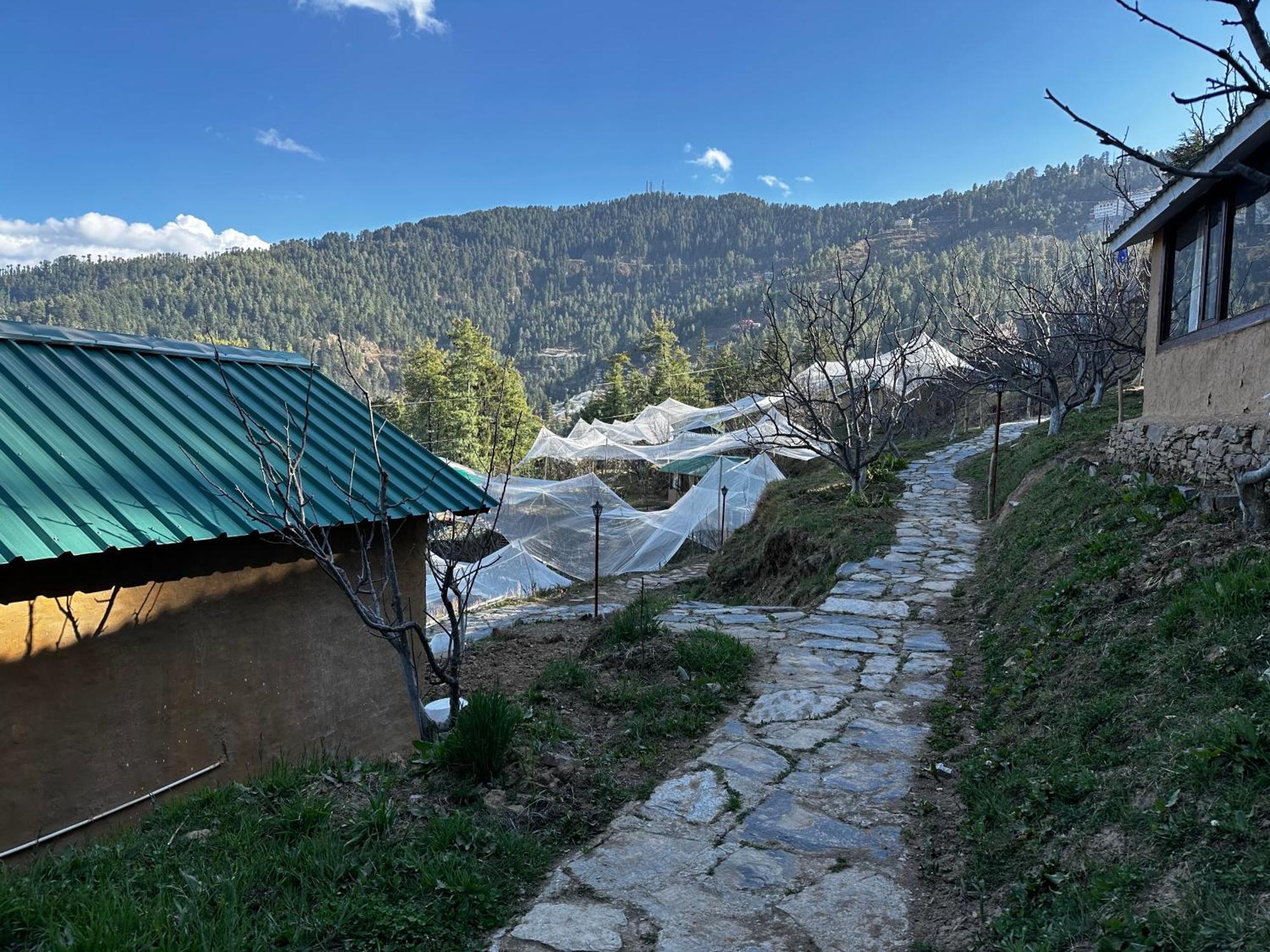 库夫里 Daak Bangla Retreat酒店 外观 照片