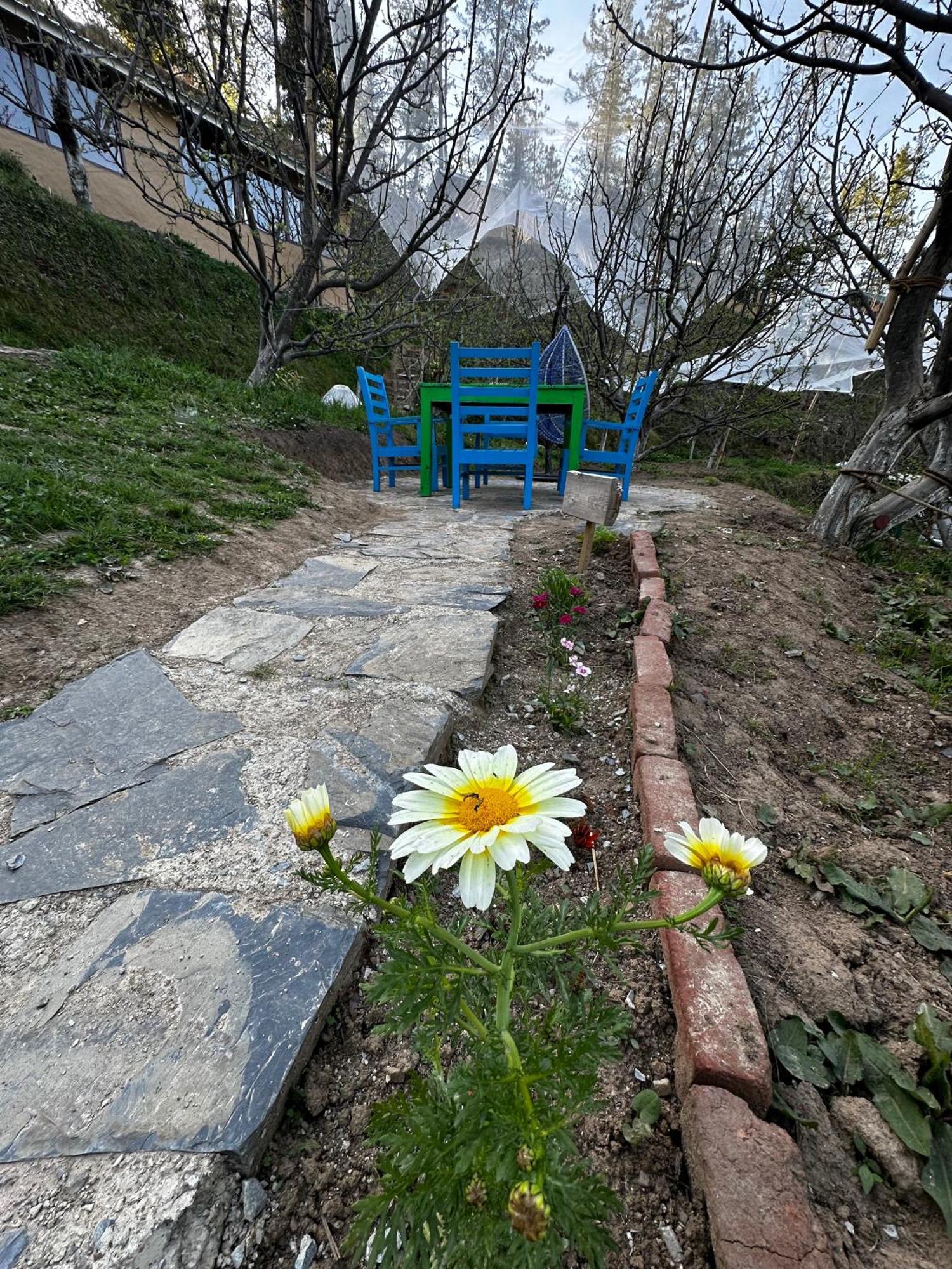 库夫里 Daak Bangla Retreat酒店 外观 照片